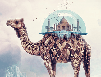 牧草种子-丰华草业有限公司