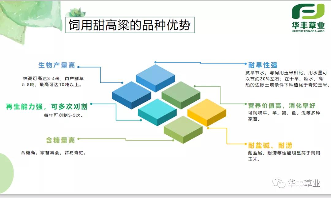 微信图片_20201102233750.jpg